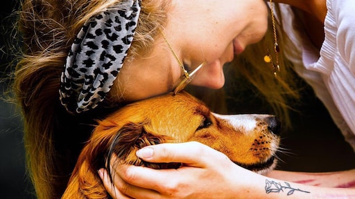 Steeds meer jonge patiënten willen een 'anorexiahond' maar die zijn erg duur